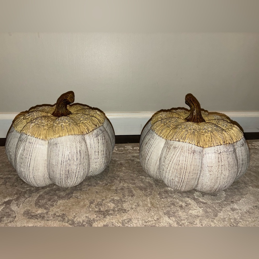 SUPER CUTE Rustic wooden grayish & greenish Pumpkins SET